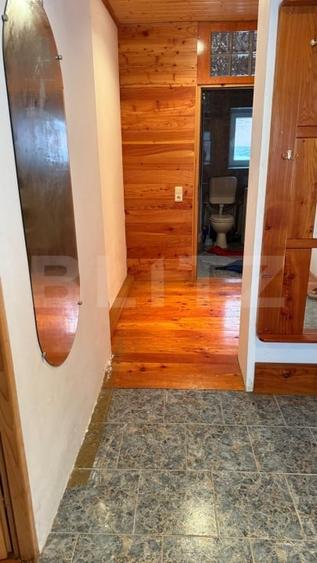 Casă individuală cu 4 camere cu Teren 4302 Mp în Geoagiu