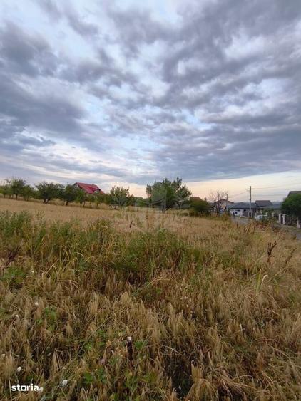 Teren Paulesti//10.000 Mp - 2