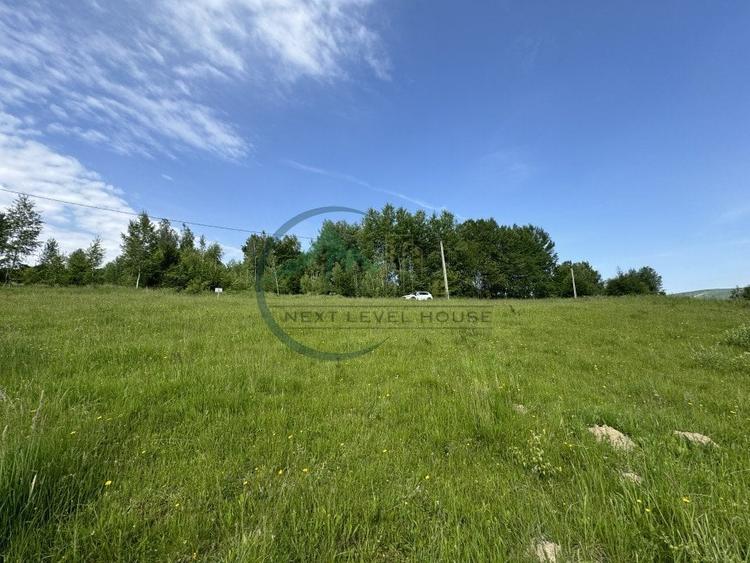 Teren Construcții extravilan de 2900.0100097656 mp, în Lisnău-Vale