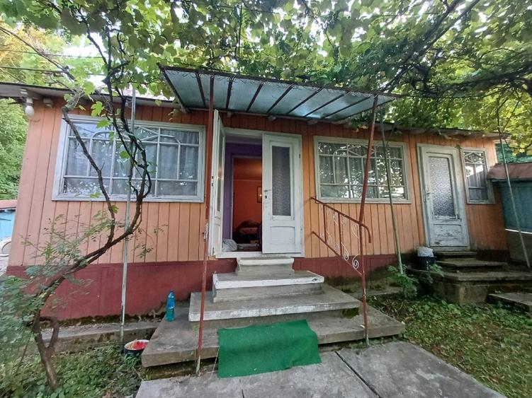 casa  cu 6500mp teren intravilan - 7