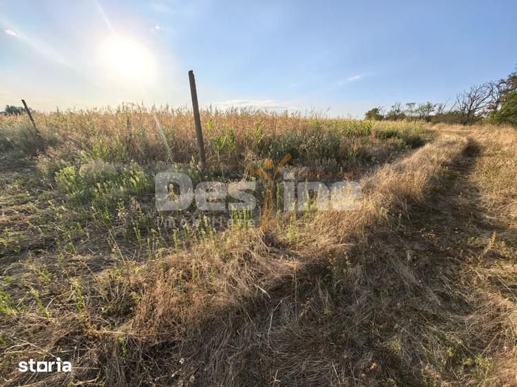 Teren de 7600 mp, în Țigănași