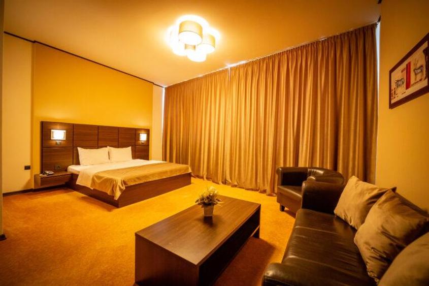 Hotel/Pensiune, de 4,484 mp, în Șagului