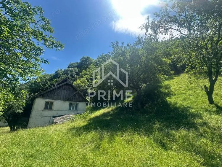 Casă cu 3 camere cu Teren 25000 Mp în Valea Vințului