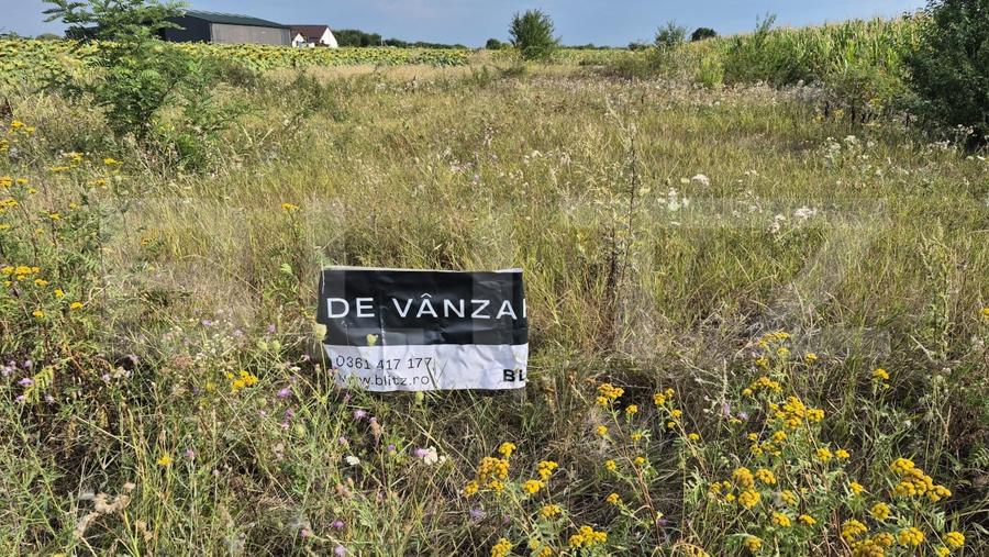Teren Construcții intravilan de 3600 mp, în Odoreu