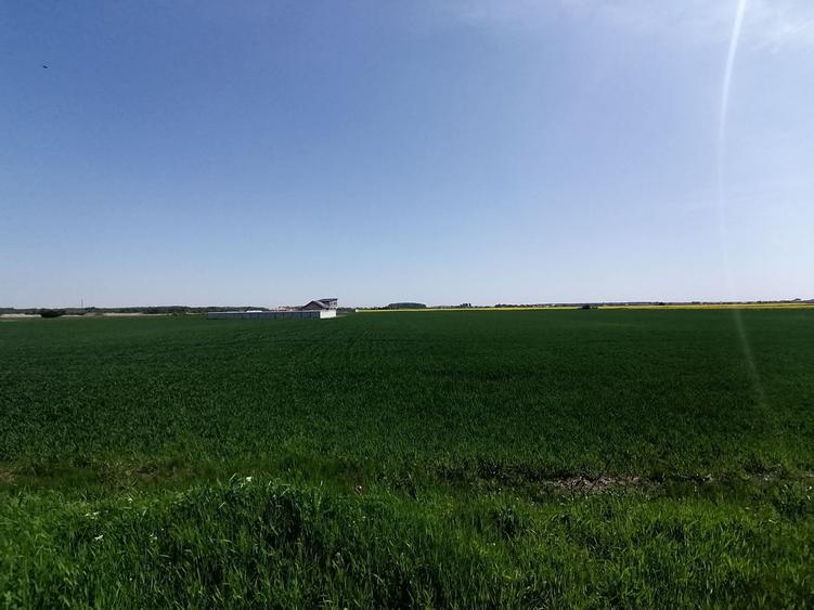 Teren agricol intravilan de 9313 mp, în 1 Decembrie