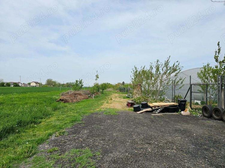 Teren intravilan curti constructii Darza pentru casa duplex 3km pana in Buftea Corbeanca A0 - 2