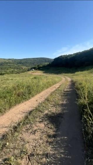 Teren Construcții intravilan de 6000 mp, în Florești