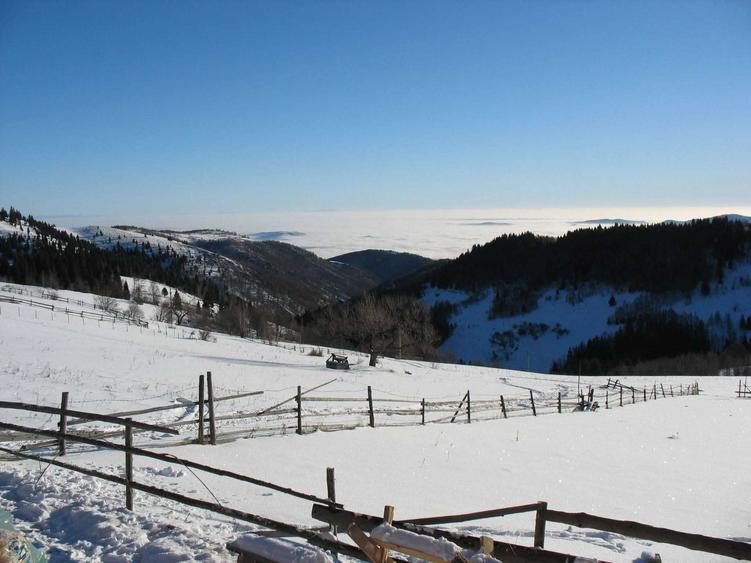 Vand teren in Muntele Bocului - 1