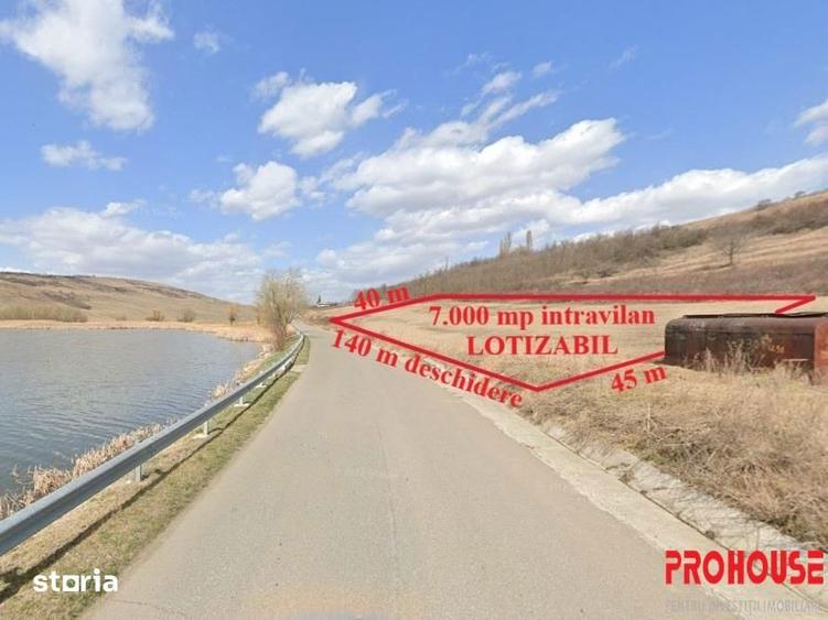 Teren de 7000 mp, în Găiceana