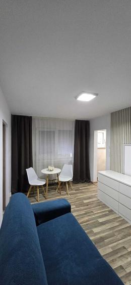 Apartament de inchiriat 2 camere, zona Sagului, langa piata Doina - 3