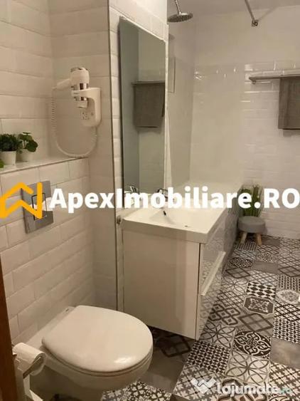 Garsoniera de inchiriat Unirii Bucure?ti | ApexImobiliare.r - 5