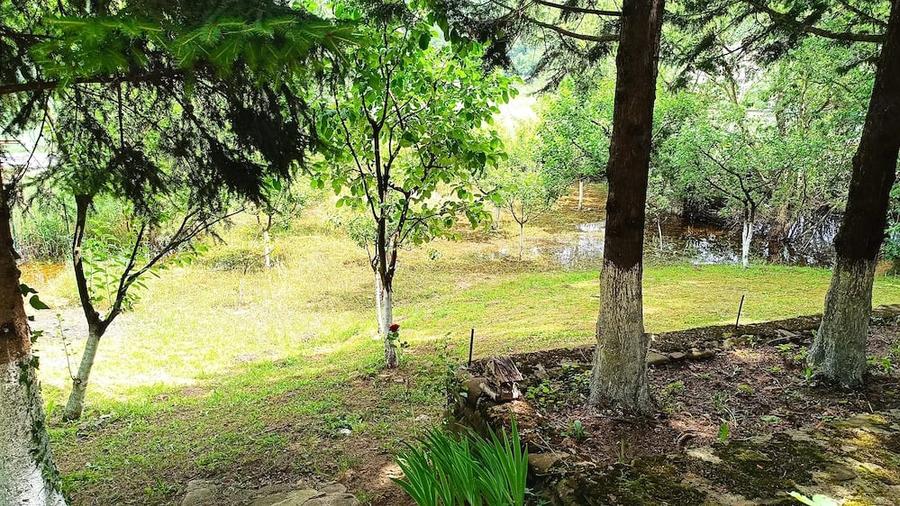 Casă cu Teren 750 Mp în Lunca Mare