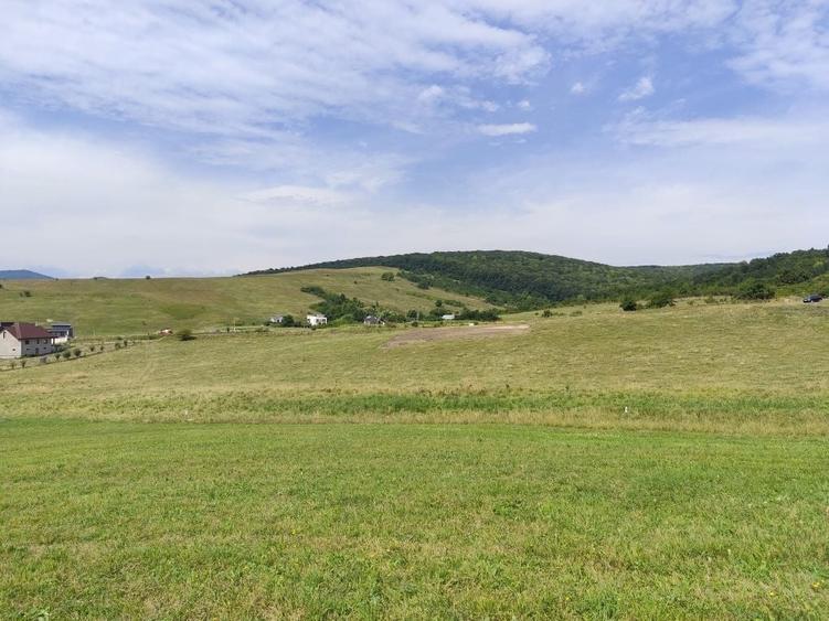 Teren construibil intravilan 5.000 mp parcelat in 2400mp + 2000mp cu drum- Piatra Neamt - 1
