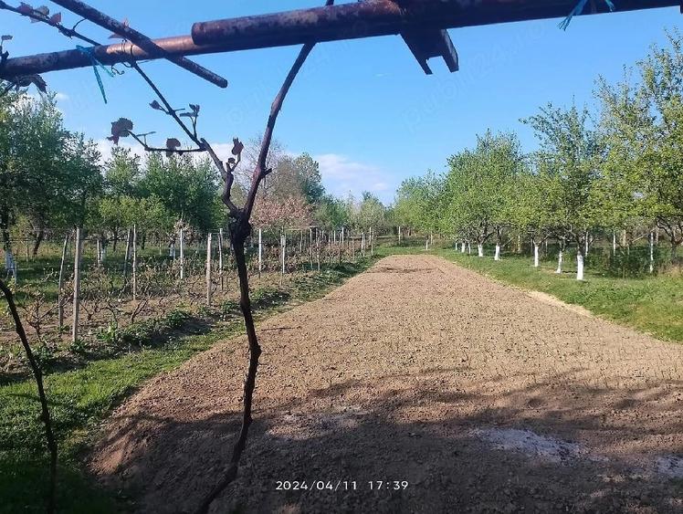 Casă cu 2 camere cu Teren 1800 Mp în Bumbești-Pițic