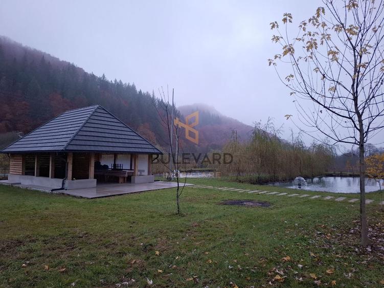 Casă individuală cu 8 camere cu Teren 6300 Mp în Groșii Țibleșului