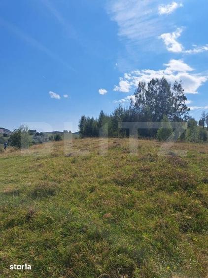 Teren de 4604 mp, în Ponor