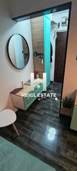 Apartament cu 2 camere semidecomandat în Șagului