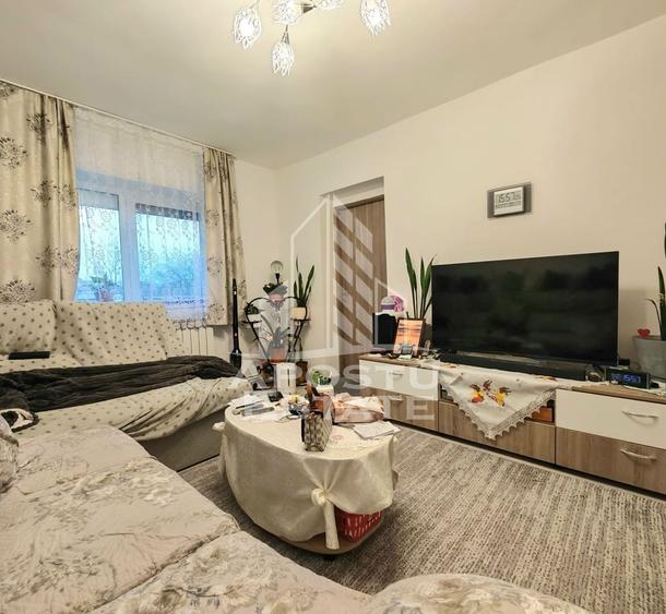 Apartament cu 2 camere semidecomandat, mobilat în Șag