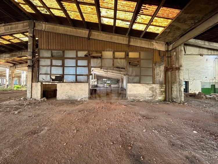 Spațiu industrial, de 10,000 mp, în Bucov