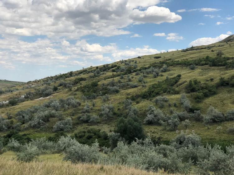 Teren agricol extravilan de 500000 mp, în Tohani