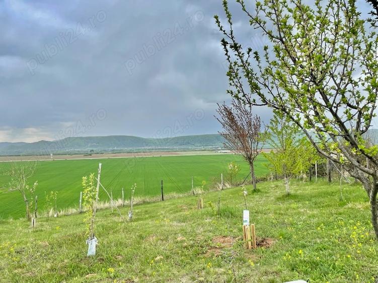 Teren în Urleta
