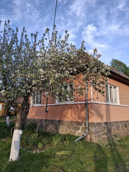 Casă cu 3 camere în Delenii