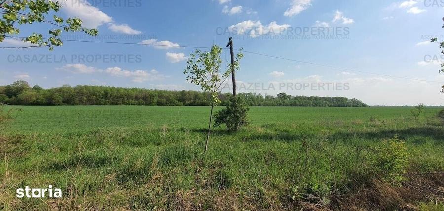 Teren de 33000 mp, în Răcari