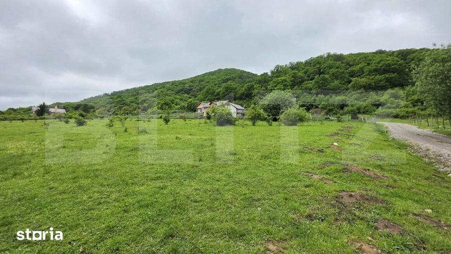 Teren de 1450 mp, în Viișoara