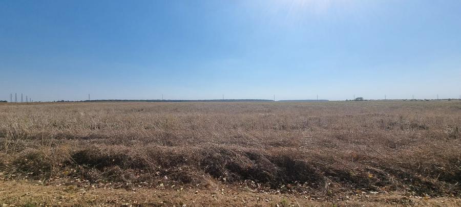 Teren agricol intravilan de 10000 mp, în Tâncăbești