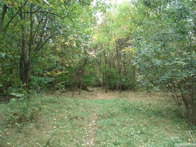 Teren de 5000 mp, în Central