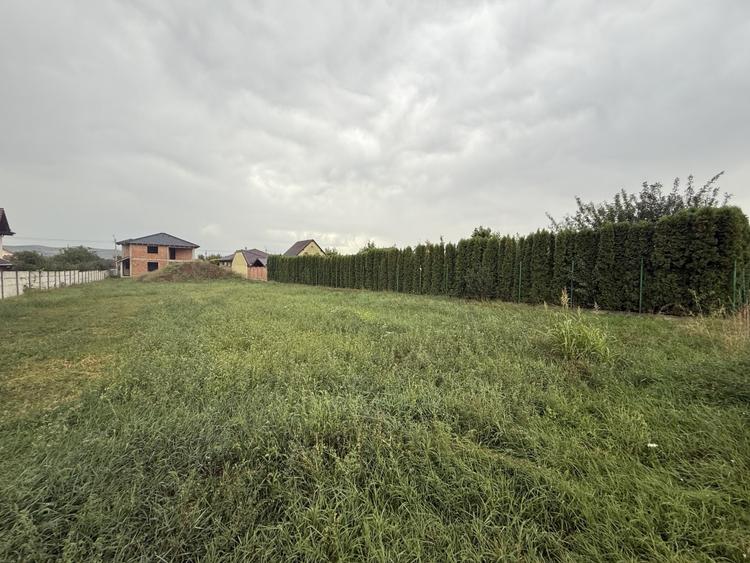 Teren Construcții intravilan de 815 mp, în Cetate