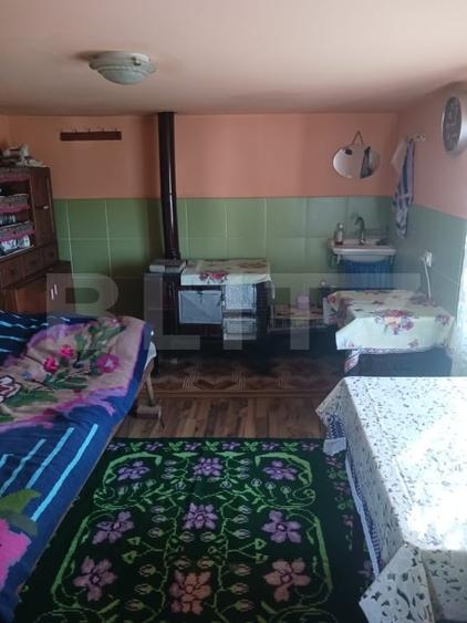 Casă individuală cu 2 camere cu Teren 3800 Mp în Brad