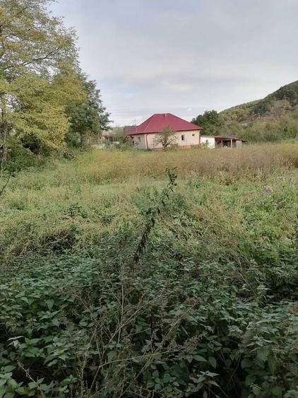 Casă cu 3 camere în Central
