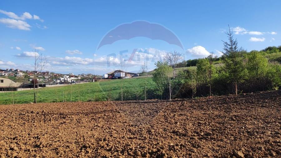 Teren Construcții intravilan de 1200 mp, în Săldăbagiu de Munte