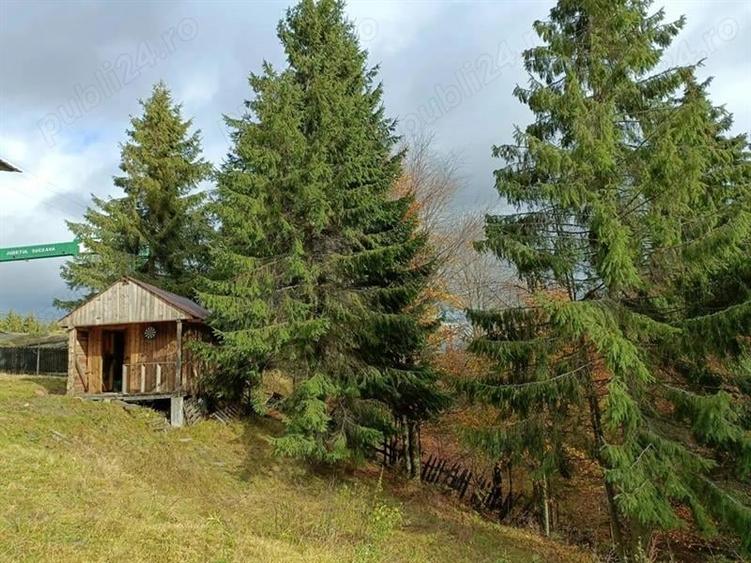 Casă individuală cu 4 camere cu Teren 2100 Mp în Poiana Stampei