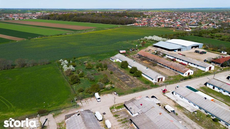 Spațiu comercial, de 734 mp, în Macea