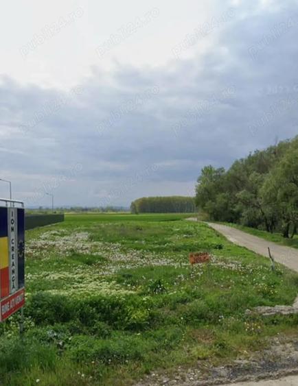 Teren de 2600 mp, în Ion Creangă