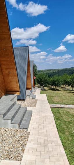 Casă cu 6 camere cu Piscina în Cordău