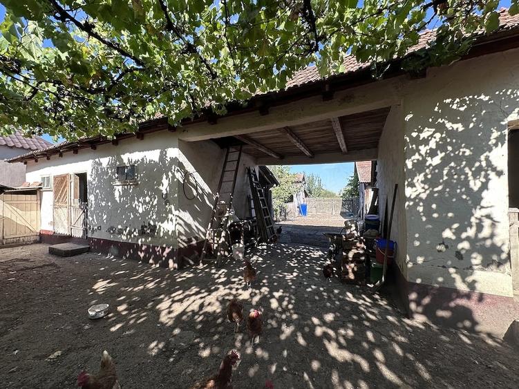 Casă cu Teren 1500 Mp în Apateu