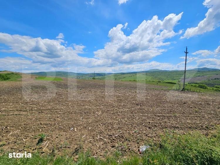 Teren de 5800 mp, în Șintereag