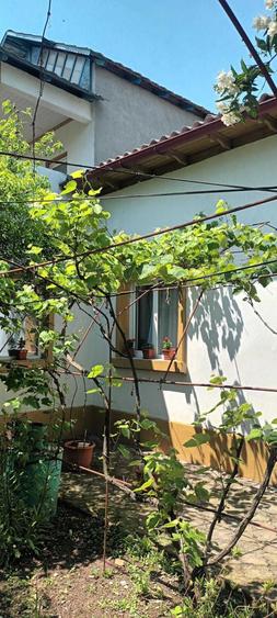 Casa de Vanzare intrare Limanu 1032mp2 cu 7 camere - 1