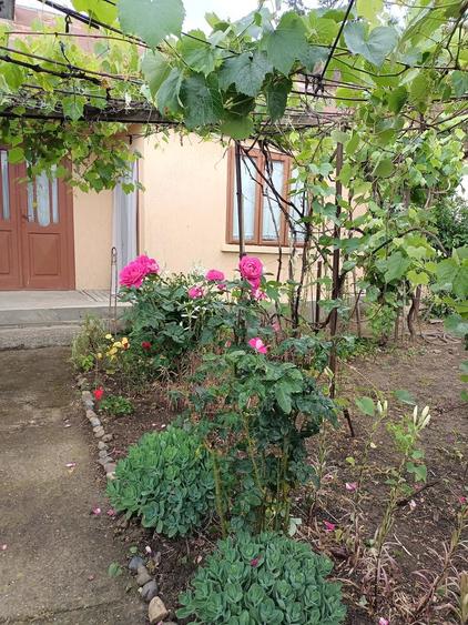 Casă cu 3 camere cu Teren 450 Mp în Cosmești