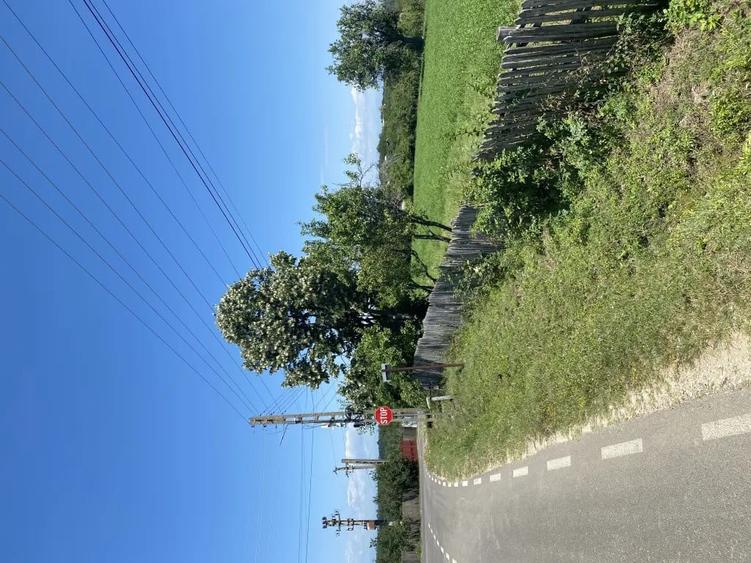 Teren de 16600 mp, în Cocu