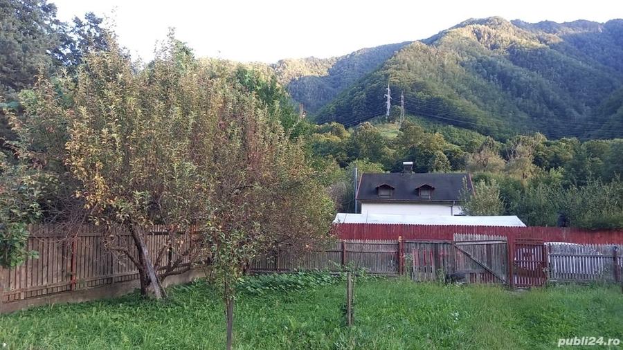 Teren în Păscoaia
