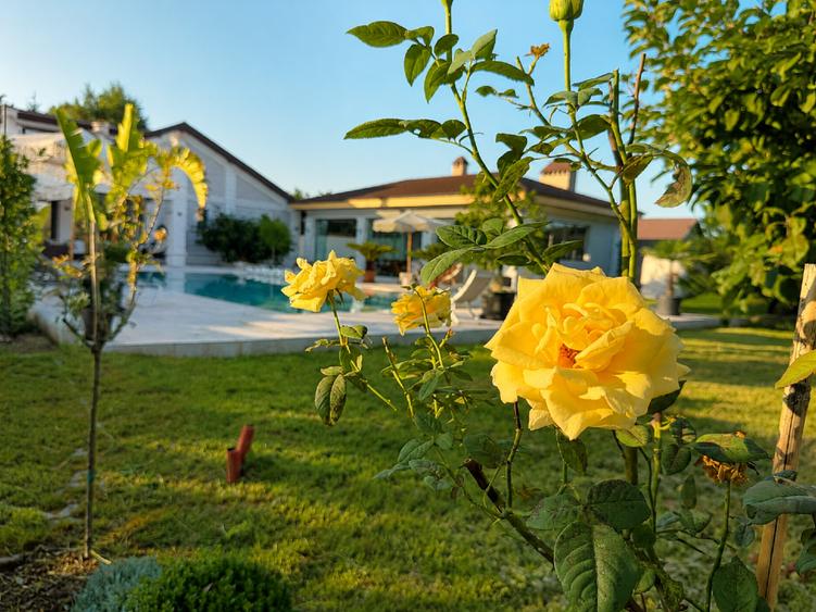 Casă individuală cu 20 camere cu Canalizare în Snagov