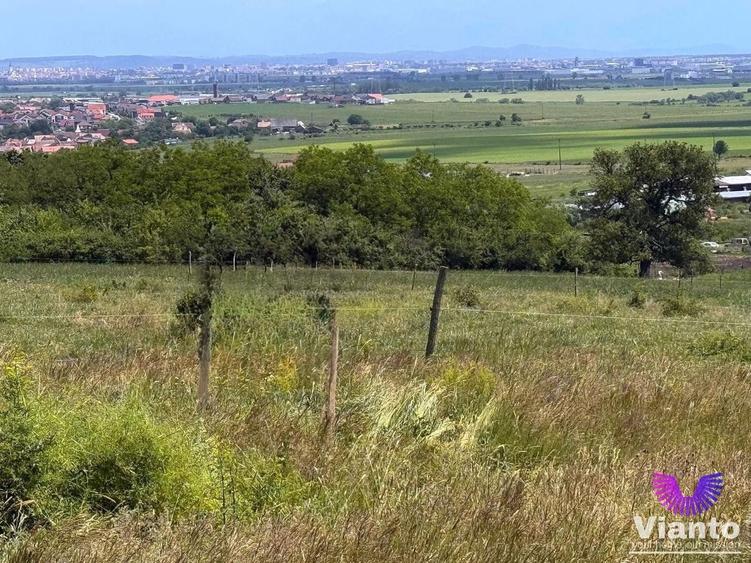 Teren Construcții intravilan de 582 mp, în Șura Mică