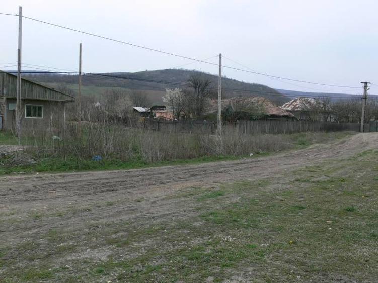 Teren Construcții intravilan de 6170 mp, în Negrești