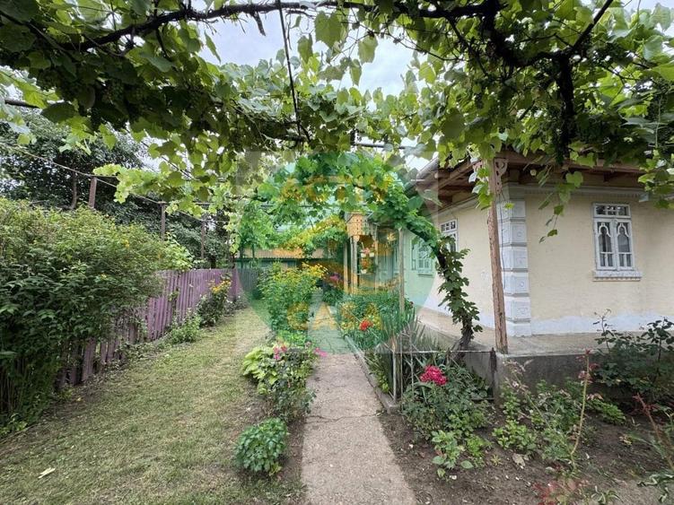 Casă cu 2 camere cu Teren 1000 Mp în Butea