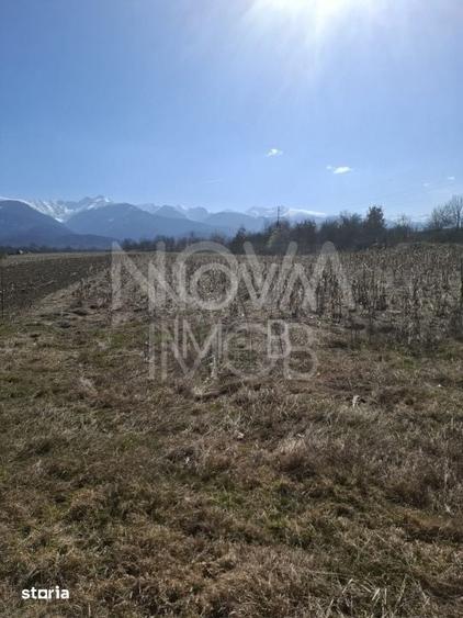 Teren de 2100 mp, în Central