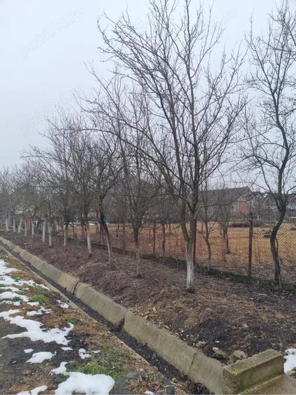 Casă cu 3 camere cu Teren 1800 Mp în Buteni